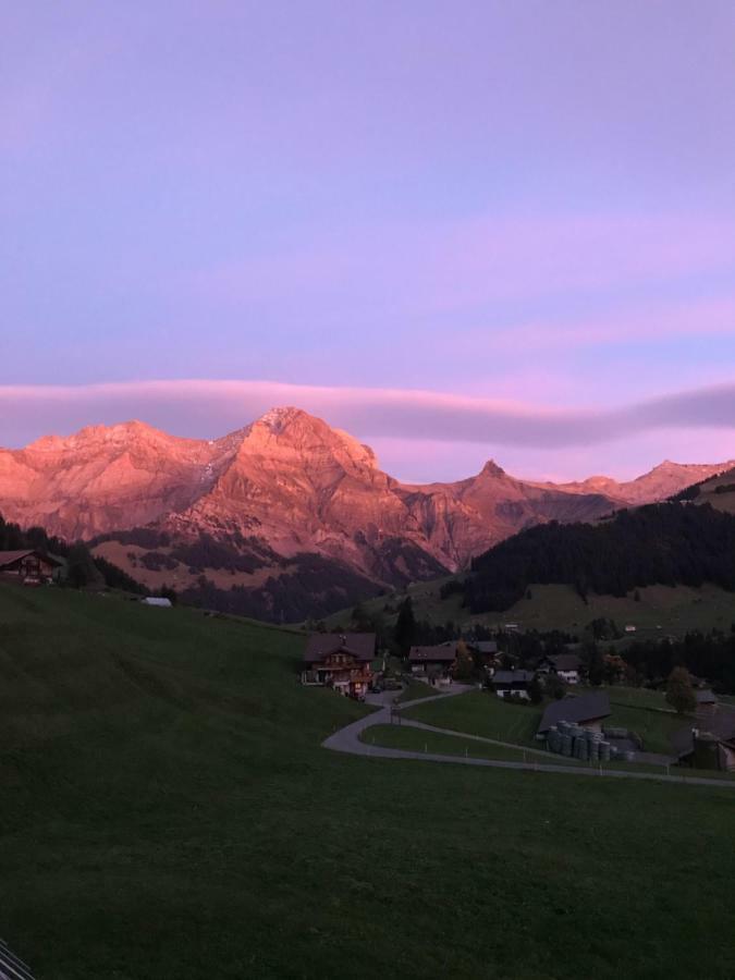 Abelied Adelboden Exterior foto