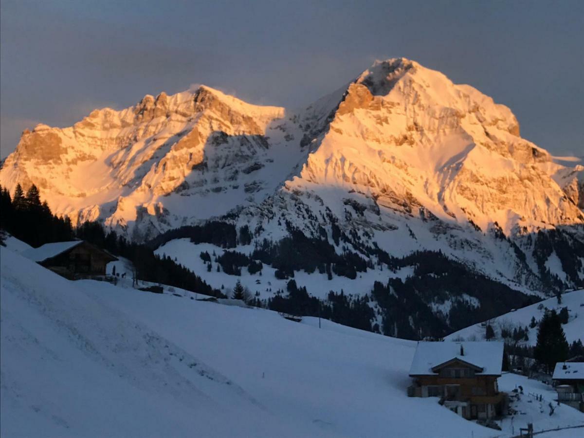Abelied Adelboden Exterior foto
